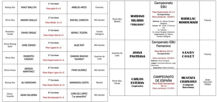 CartelVistalegre