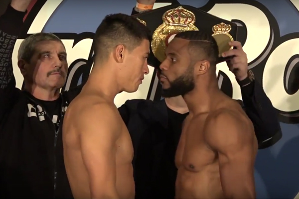 Bivol-Pascal