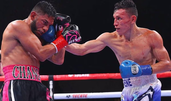 Cancio-Alvarado