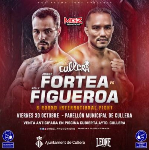 Fortea-Figueroa
