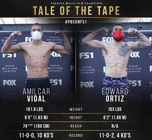 Vidal-Ortiz