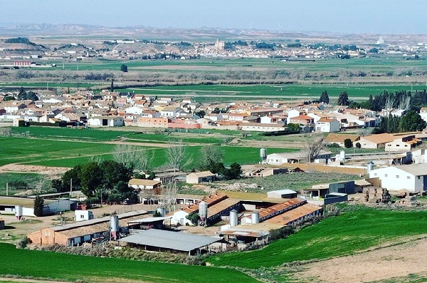 Gelsa