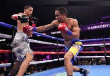 La WBA anula el combate entre Maestre y Fox