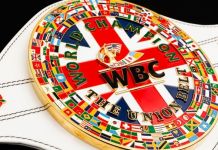El WBC crea el cinturón «Union Belt» para el Tyson Fury vs. Dillian Whyte