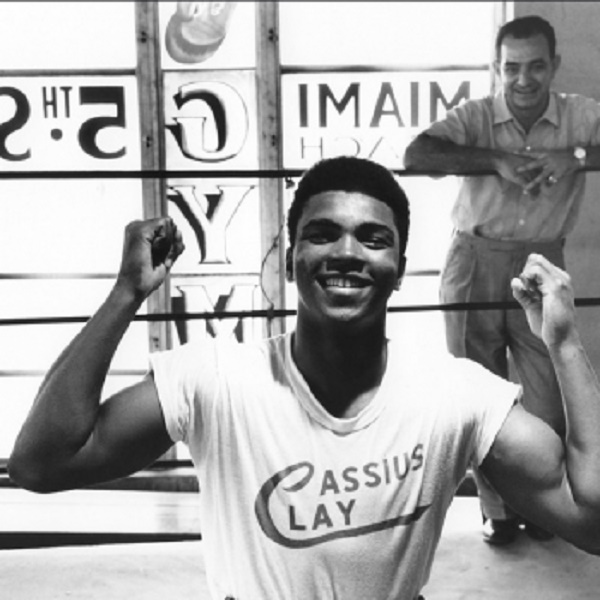 Clay-Cassius