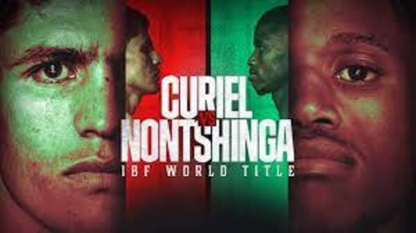 Curiel-Nontshinga2