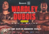 Mañana, duelo de campeones mundiales por e-mail del peso pesado: Fabio Wardley vs Daniel Dubois