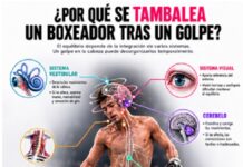 ¿Por qué se tambalea un boxeador tras un golpe?